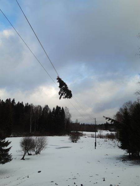 Autors: Publicitātes foto.