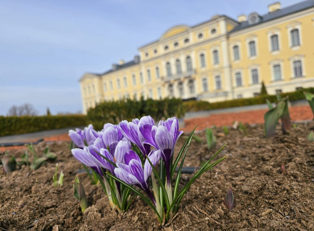 Autors: www.bauskasdzive.lv