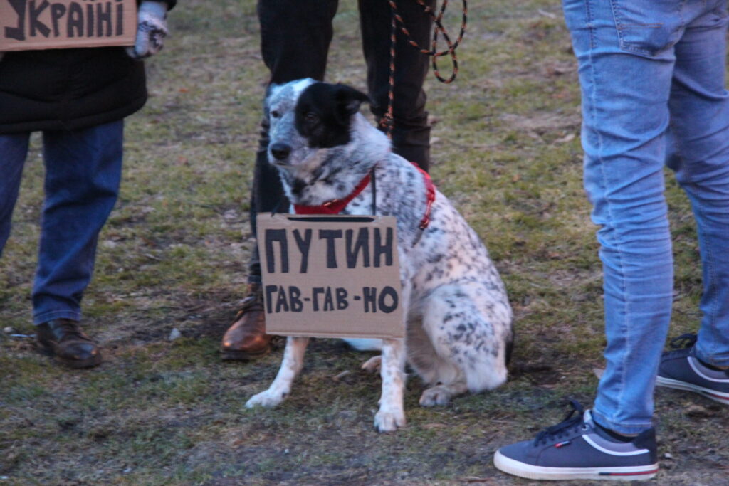 Autors: Ingrīda Punka