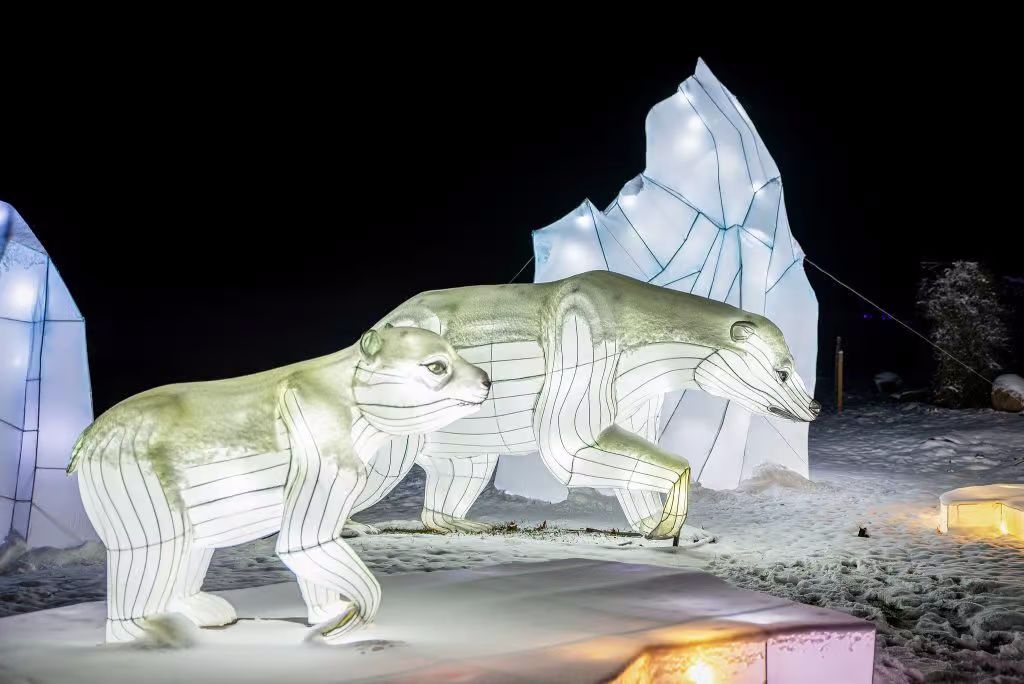 Autors: Publicitātes foto