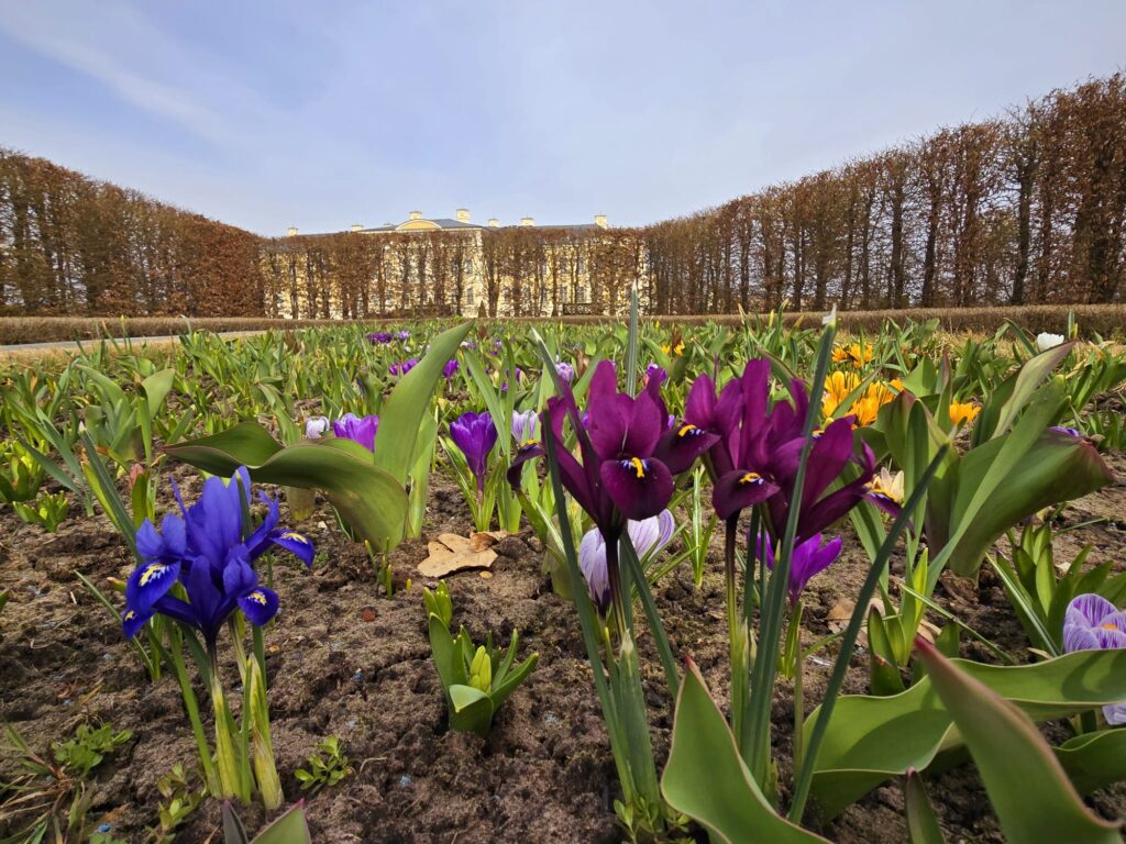 Autors: www.bauskasdzive.lv