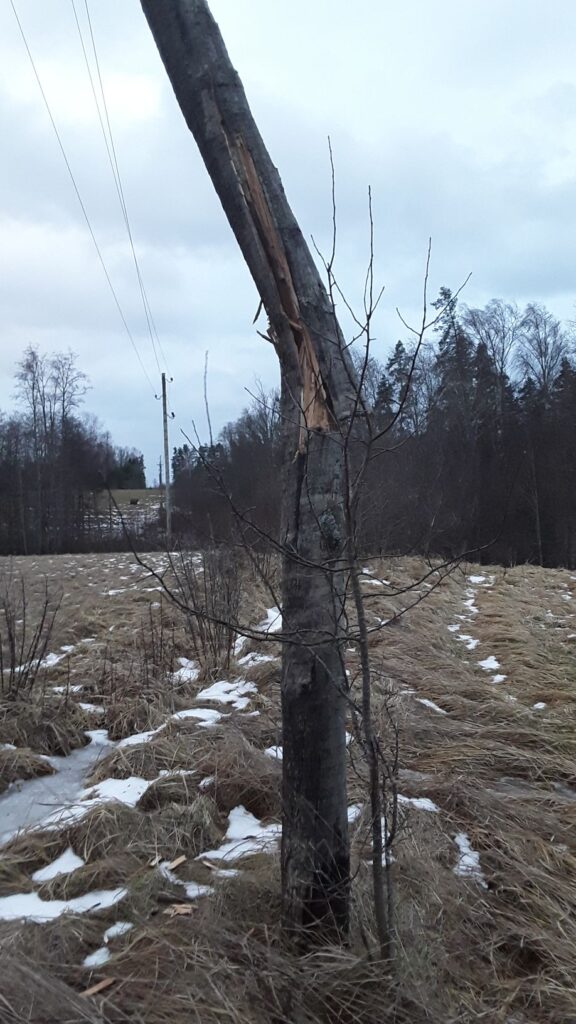 Autors: Publicitātes foto.