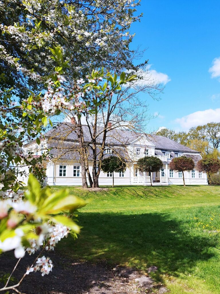 Aluksniesiem.lv raksta attēla aizvietotājs