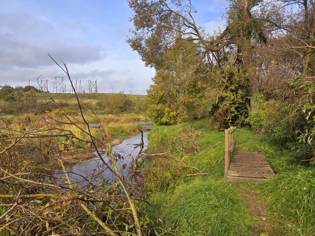 Autors: www.bauskasdzive.lv