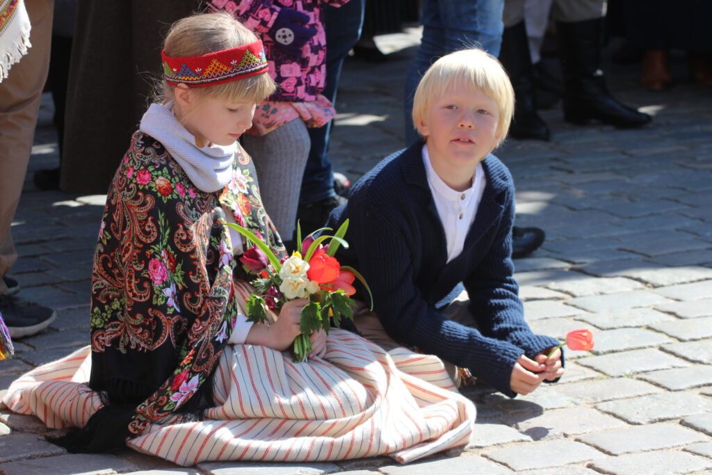 Aluksniesiem.lv raksta attēla aizvietotājs