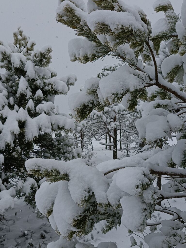 Autors: www.bauskasdzive.lv