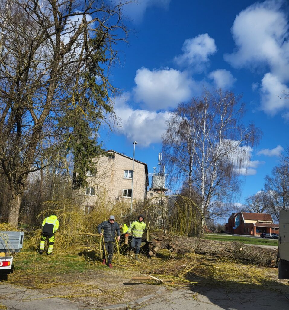 Autors: Inga Muižniece