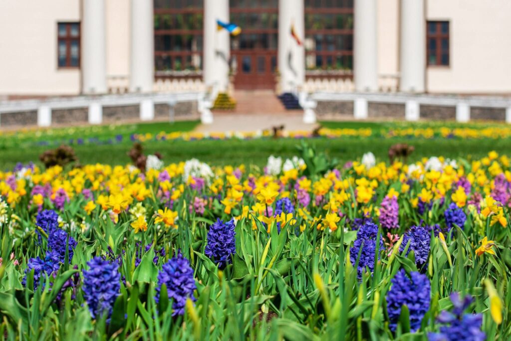 Autors: No Pakrojas muižas albuma