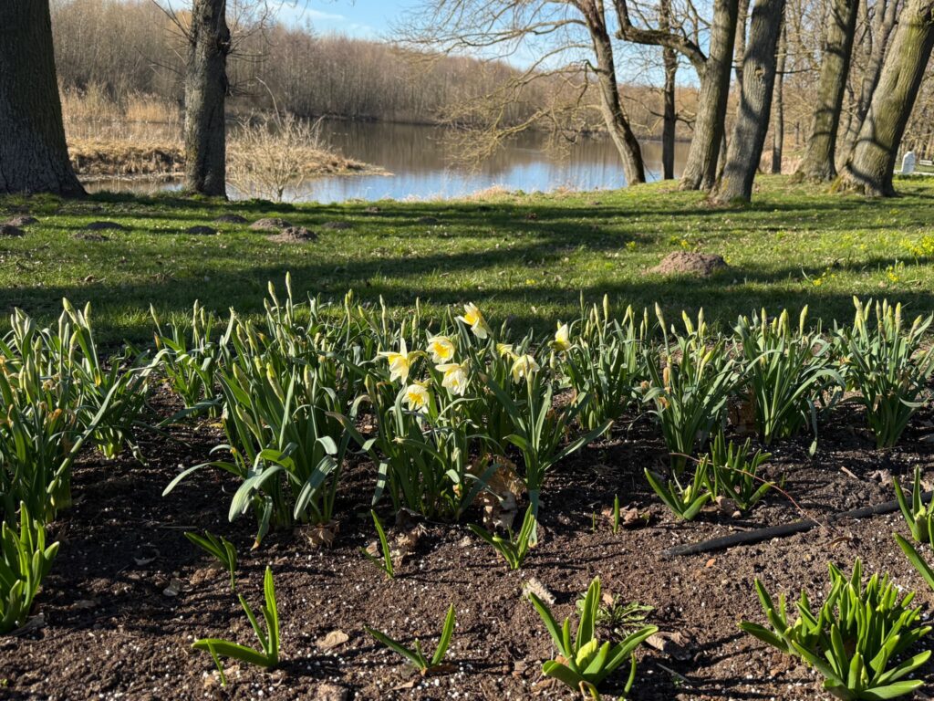 Autors: No Pakrojas muižas albuma