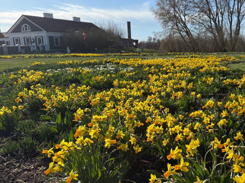 Autors: No Pakrojas muižas albuma