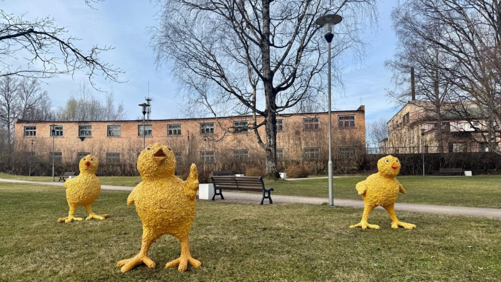 Svētkiem uzposta Alūksne.