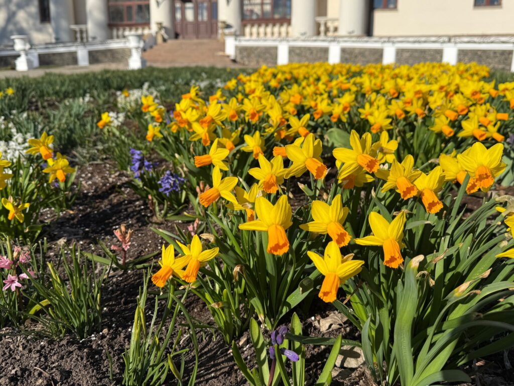 Autors: No Pakrojas muižas albuma