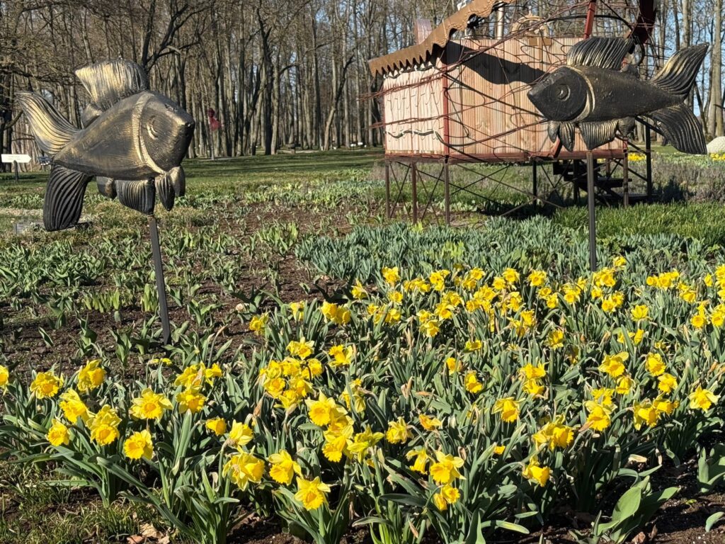 Autors: No Pakrojas muižas albuma