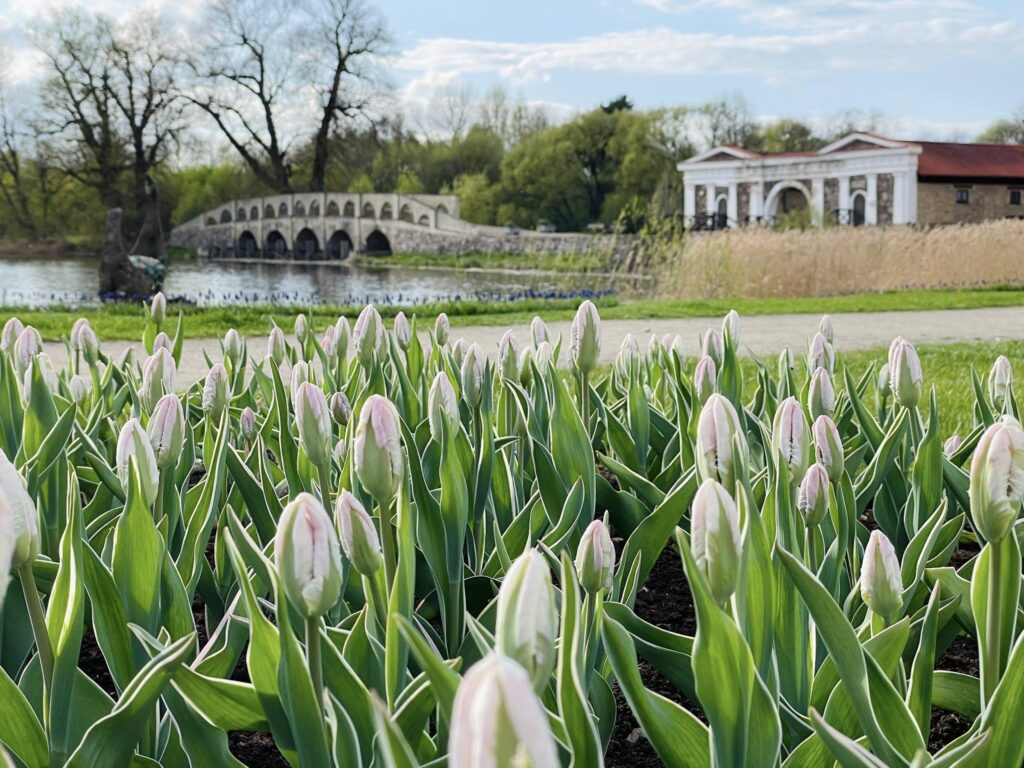 Autors: Publicitātes foto