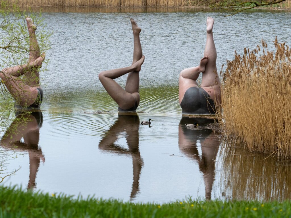 Autors: Publicitātes foto