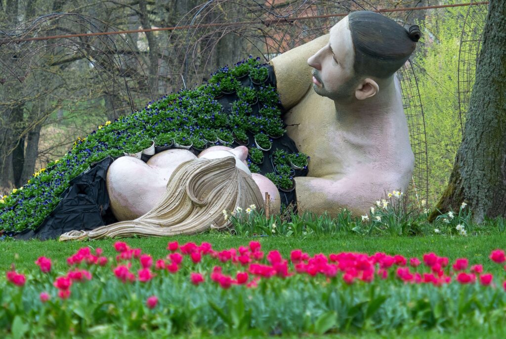 Aluksniesiem.lv raksta attēla aizvietotājs