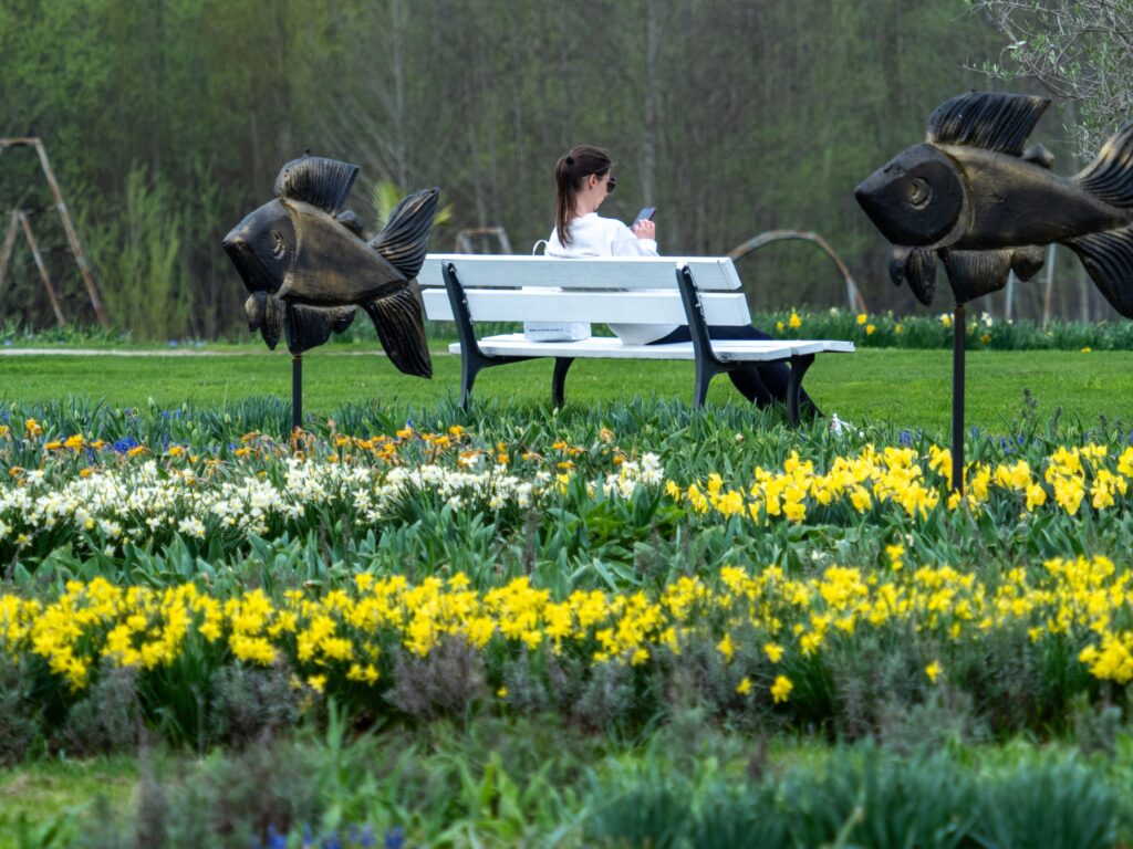 Autors: Publicitātes foto