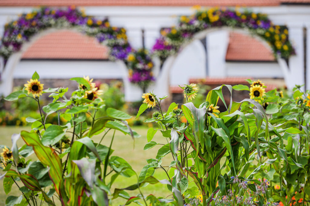 Autors: Publicitātes foto