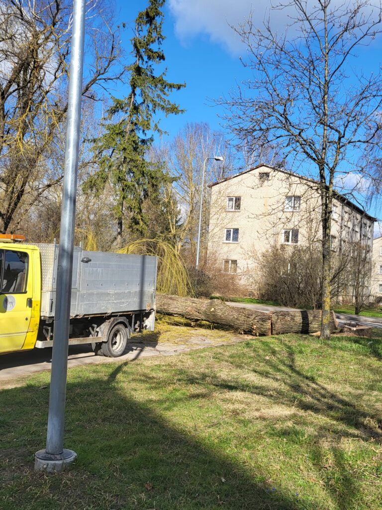 Autors: Inga Muižniece