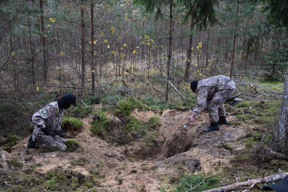 Autors: Māris Krūmiņš
