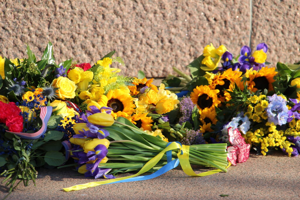 Autors: Ingrīda Punka