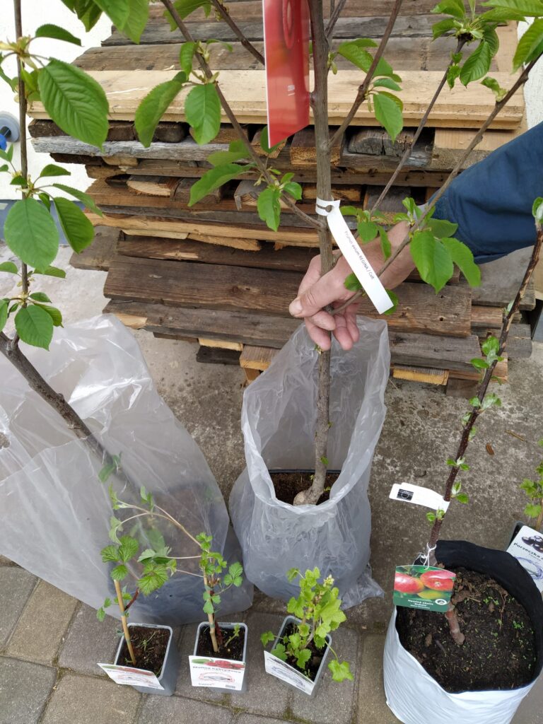 Autors: Foto no Borisa un Ināras Teterevu fonda arhīva.