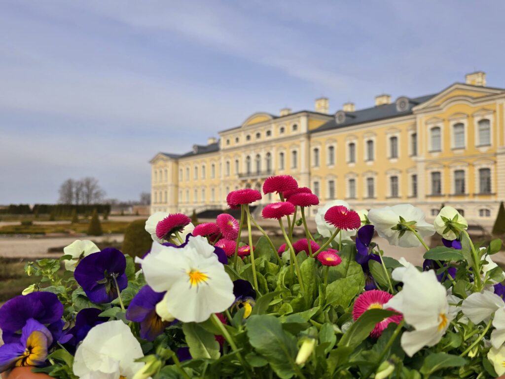 Autors: www.bauskasdzive.lv