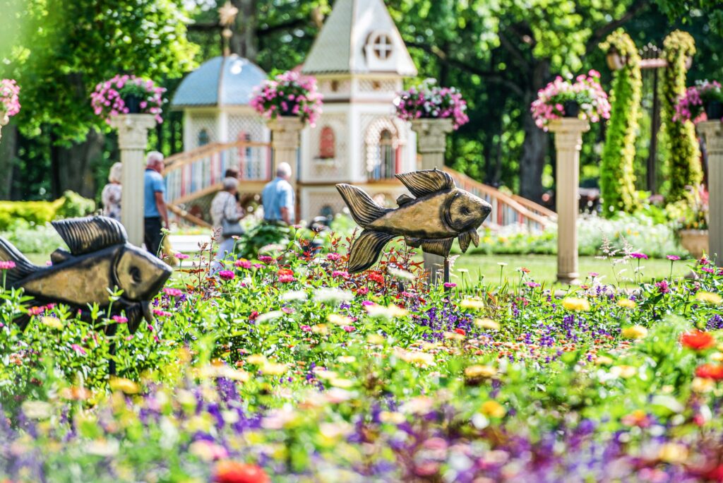 Autors: Publicitātes foto