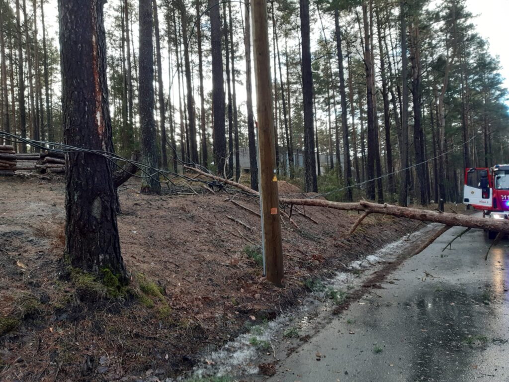 Autors: Publicitātes foto.