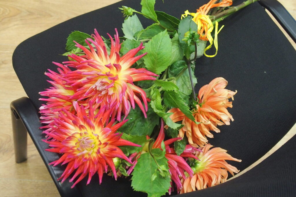 Autors: Ingrīda Punka