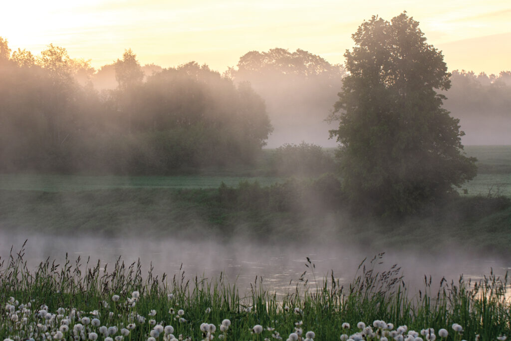 Dzimtais Mēmeles krasts rītausmā Brunavas pusē. 
Autors: Foto no Ievas Segliņas personiskā albuma.