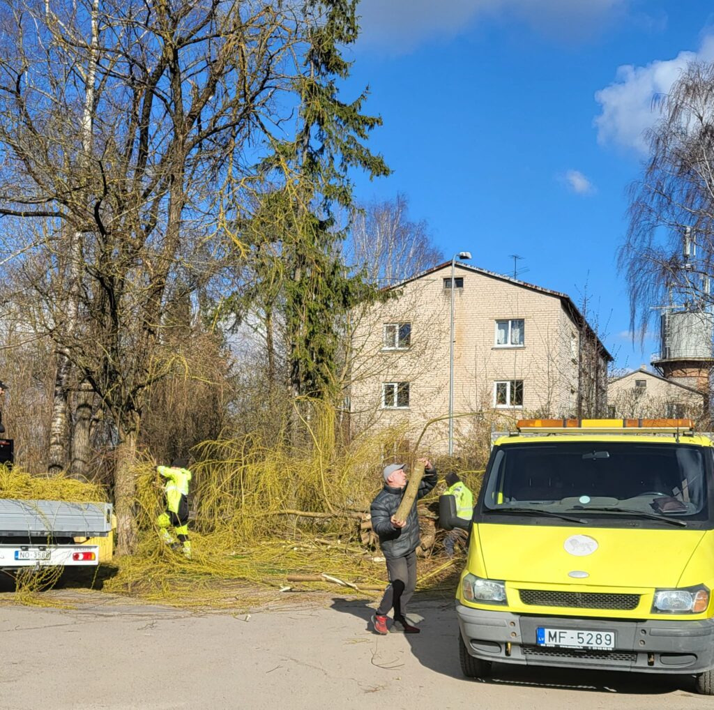 Autors: Inga Muižniece