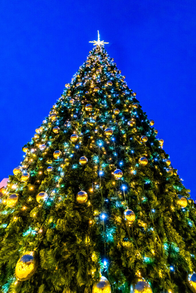 Autors: Ģirts Donerblics