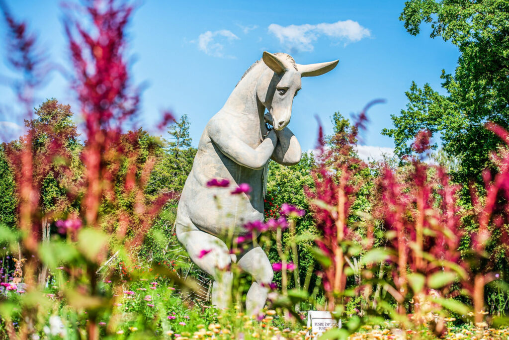 Autors: Publicitātes foto