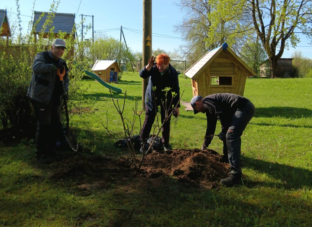Aluksniesiem.lv raksta attēla aizvietotājs