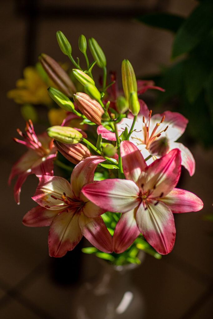 Autors: Ģirts Donerblics