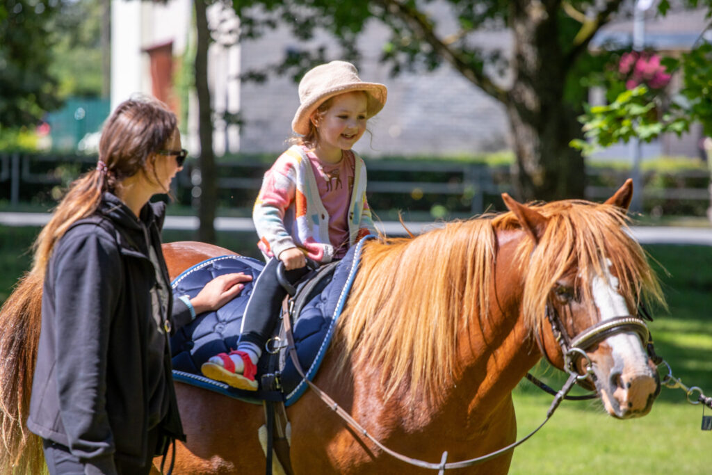 Autors: Ģirts Donerblics