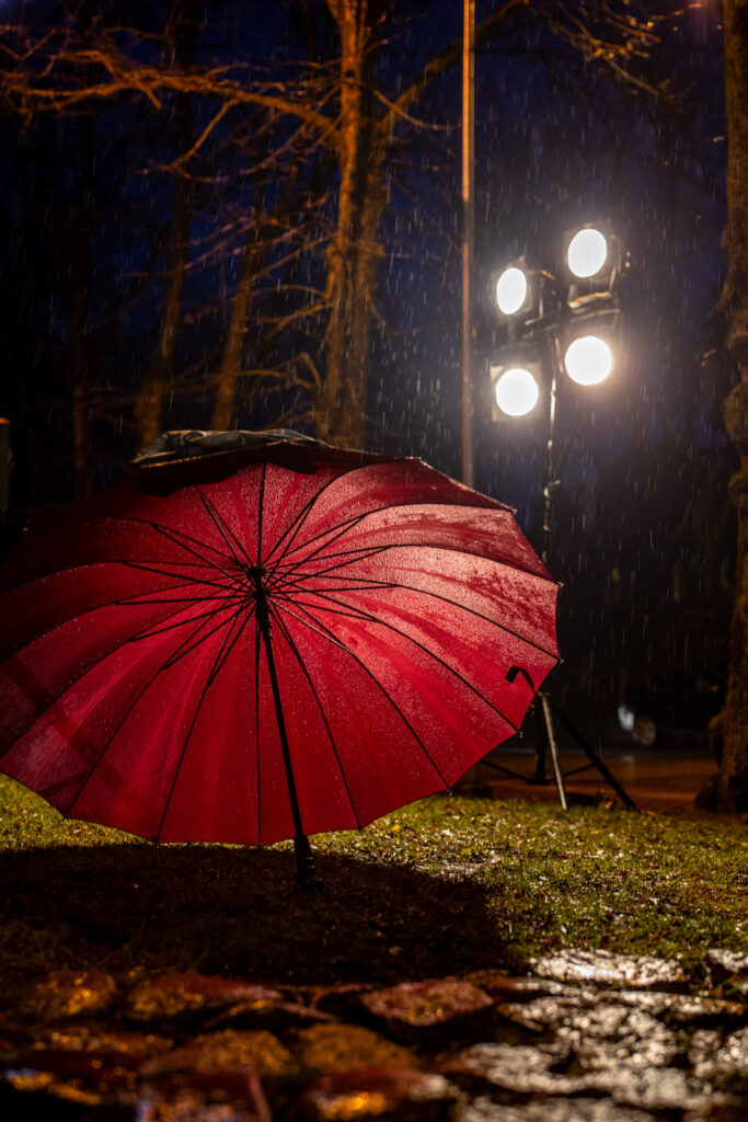 Autors: Ģirts Donerblics