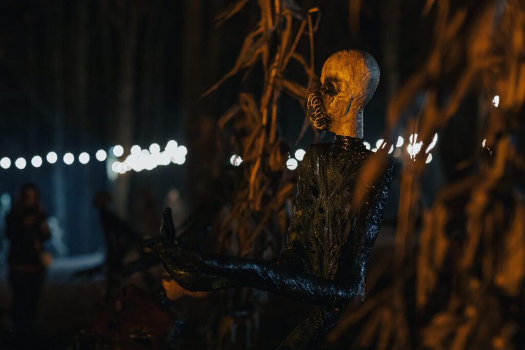 Autors: Ģirts Donerblics