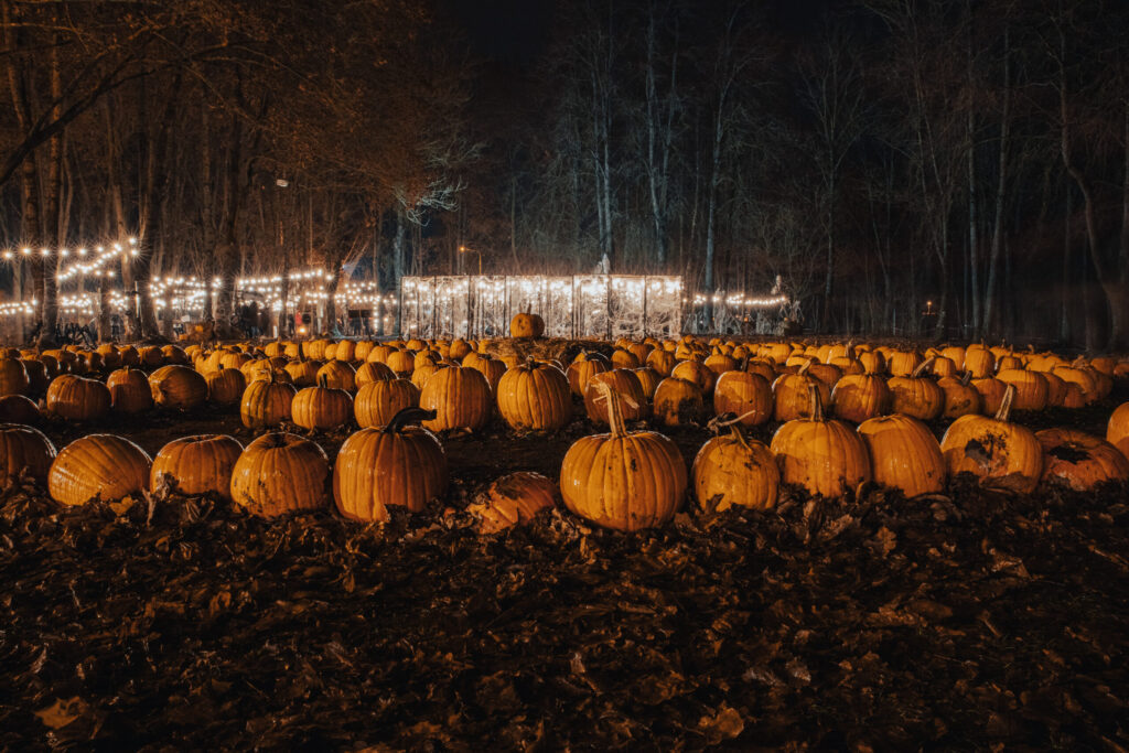 Autors: Ģirts Donerblics