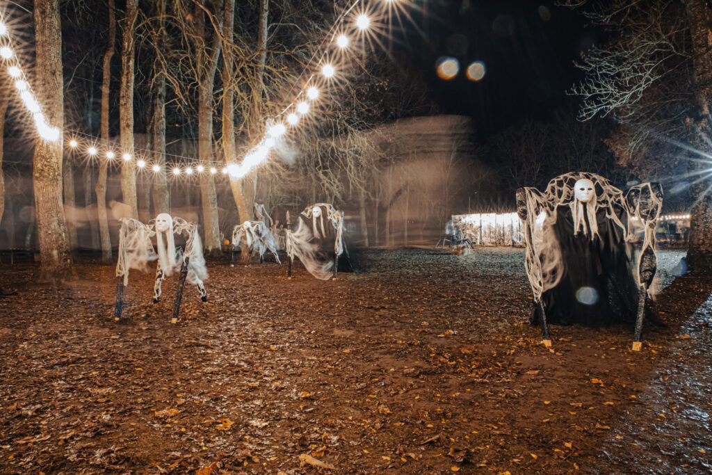 Autors: Ģirts Donerblics