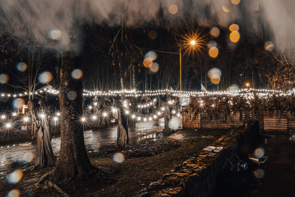 Autors: Ģirts Donerblics