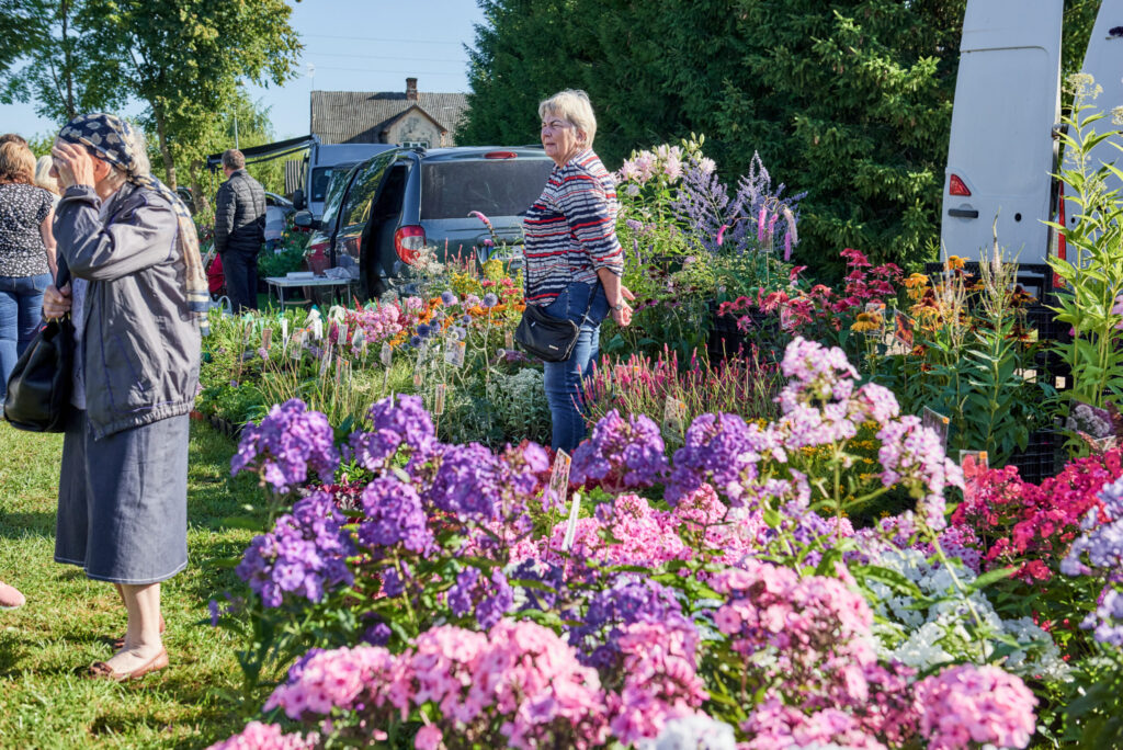 Autors: Arnis Indriks