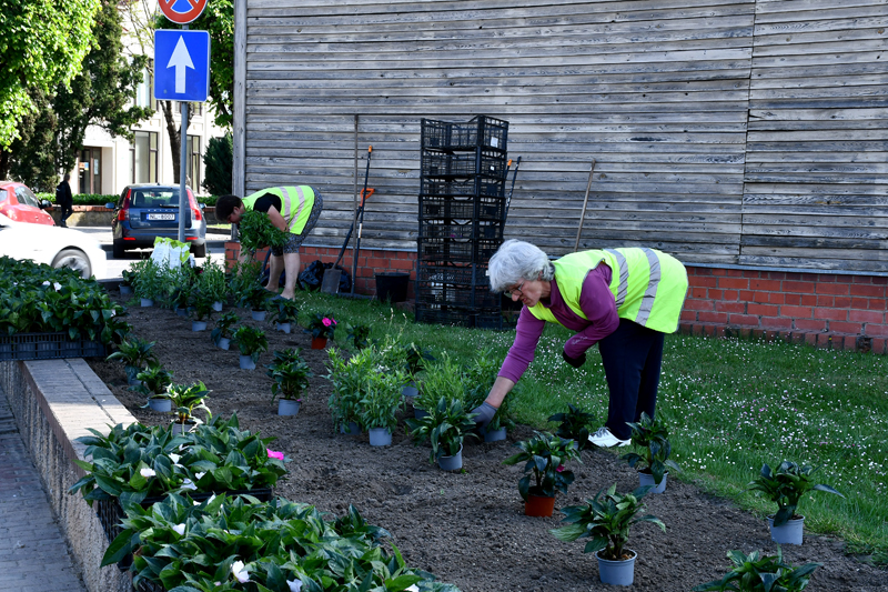Autors: Ivars Bogdanovs