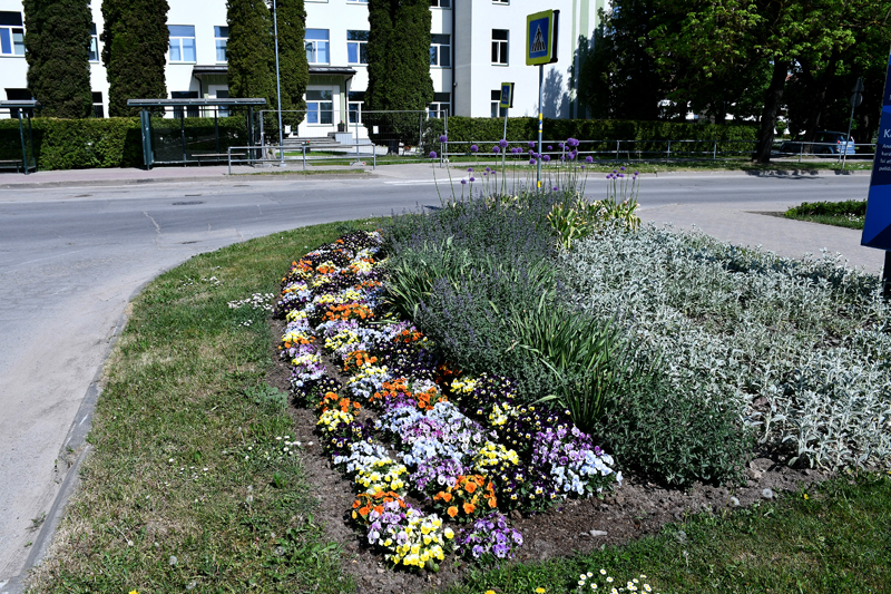 Autors: Ivars Bogdanovs