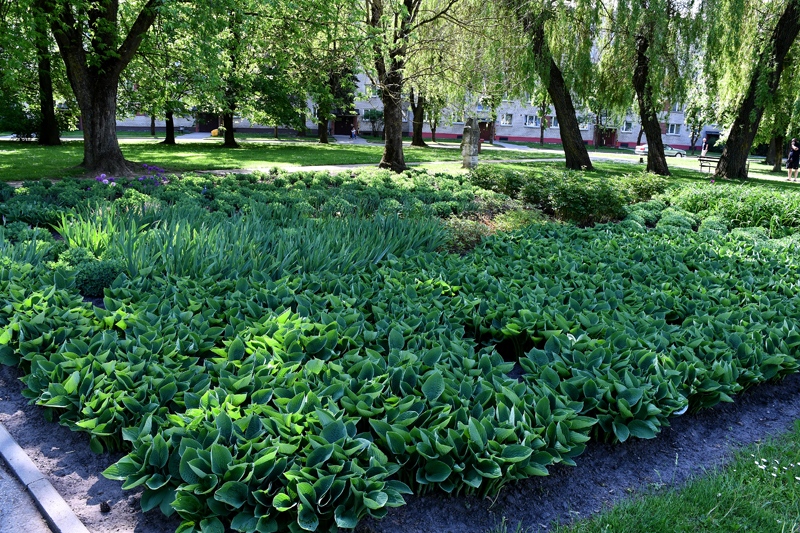 Autors: Ivars Bogdanovs