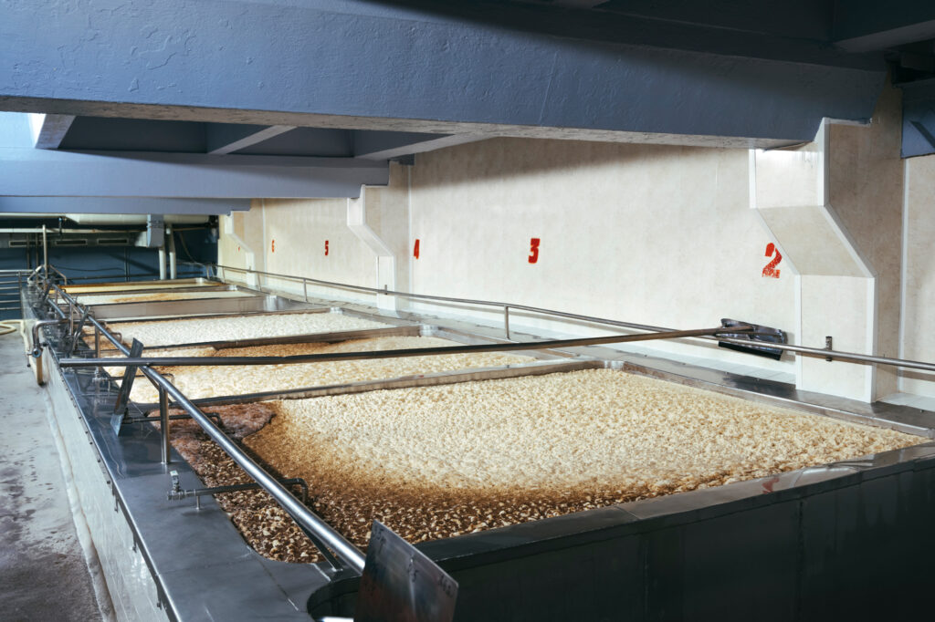 Autors: Publicitātes attēls. Foto: Valdis Skudre