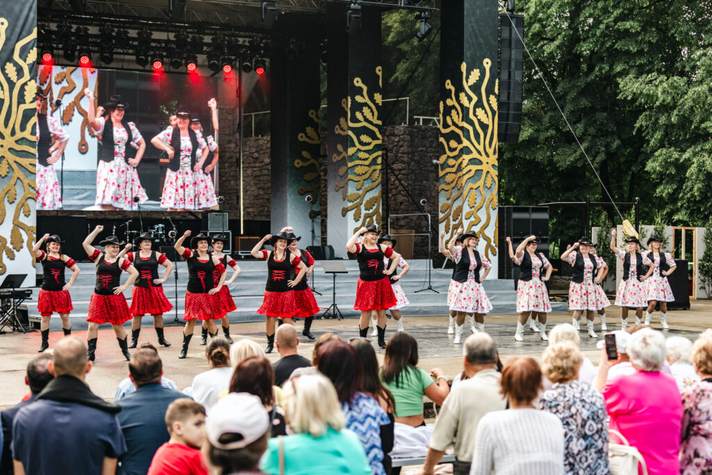 Autors: Ieva Romaško