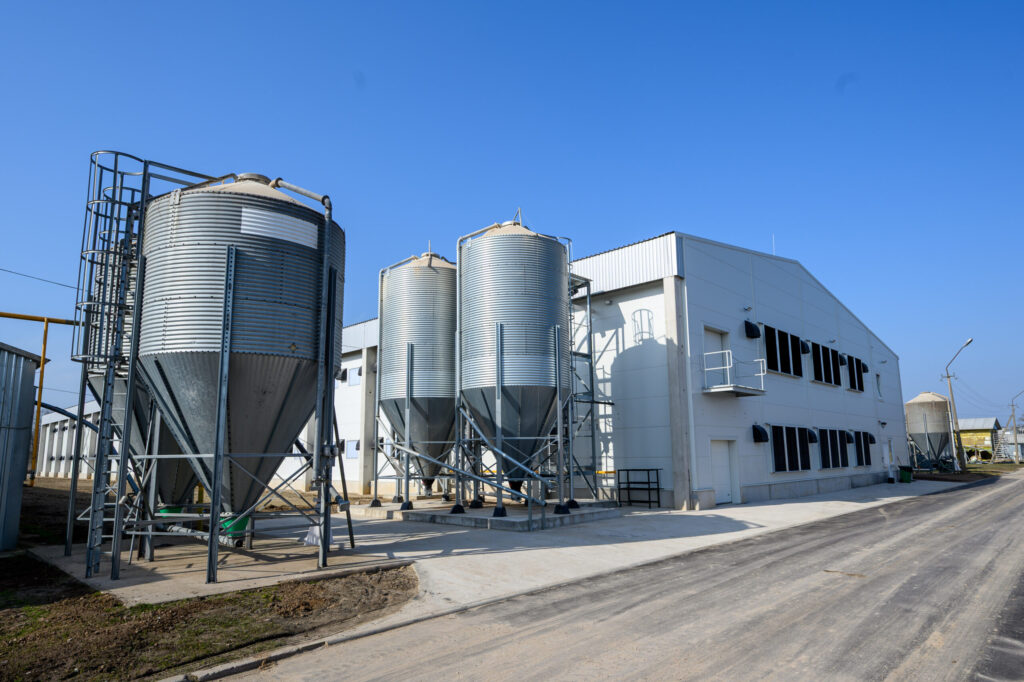 Autors: Roberts Blaubuks, Balticovo