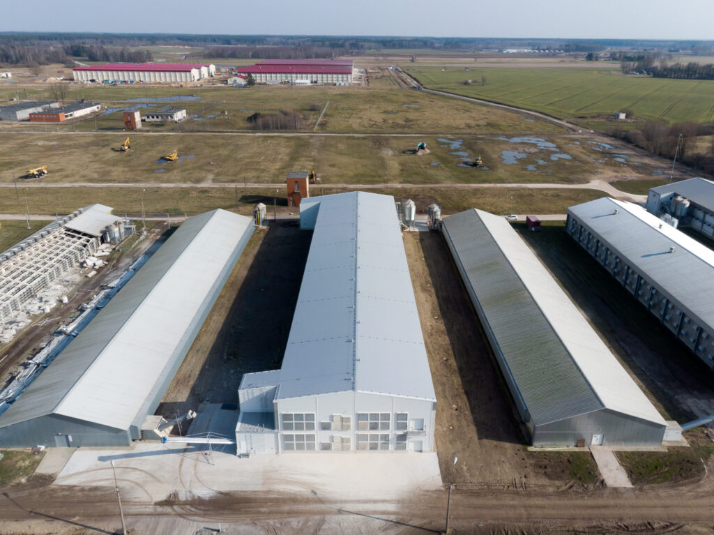 Autors: Roberts Blaubuks, Balticovo